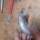 Flory14_Umbau_23