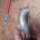Flory14_Umbau_24